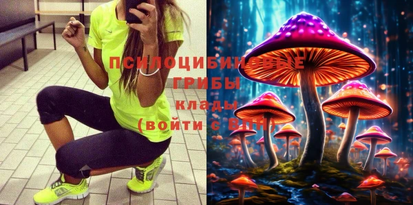 кокс Алексин