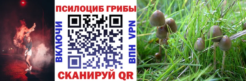 Псилоцибиновые грибы ЛСД Нюрба