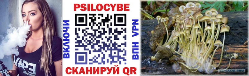 Галлюциногенные грибы Psilocybine cubensis  наркота  Нюрба 